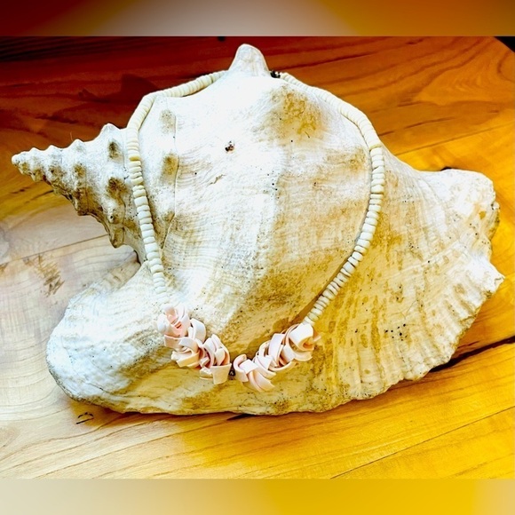 VTG Pink Conch Shell and Puka Shell Necklace 17.5" Beach Style Islands Boho - Picture 4 of 9
